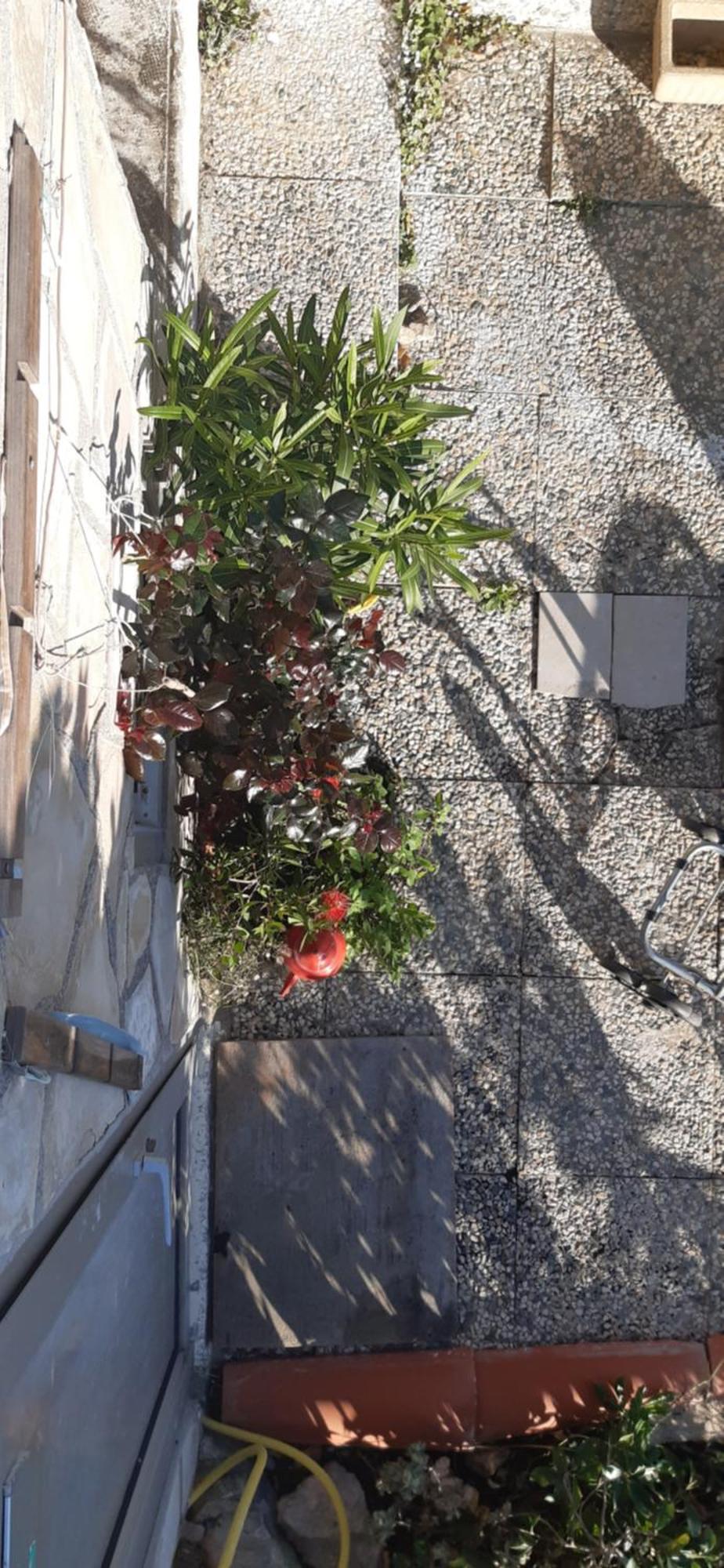 Cabanon Vue Mer Et Calanques Les Goudes Marseille Eksteriør billede